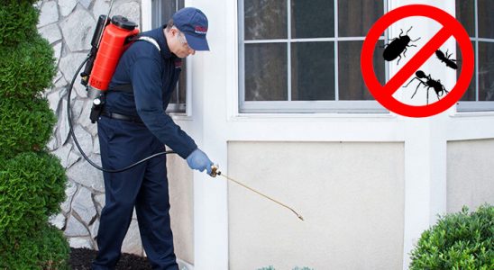 Doğanlar Gümüşkurt İlaçlama böcek ilaçlama ve haşere kontrolü — ilaclama-tr.com